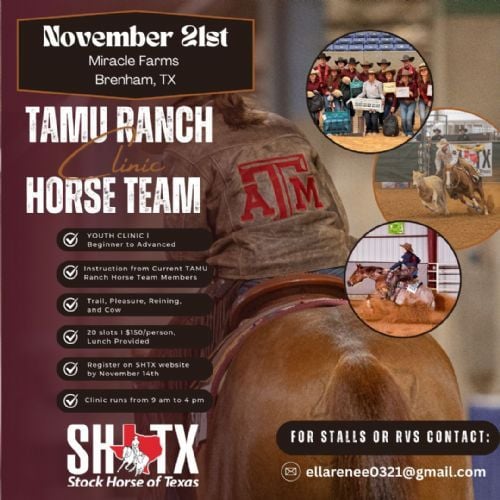 Youth Ranch Horse Clinic